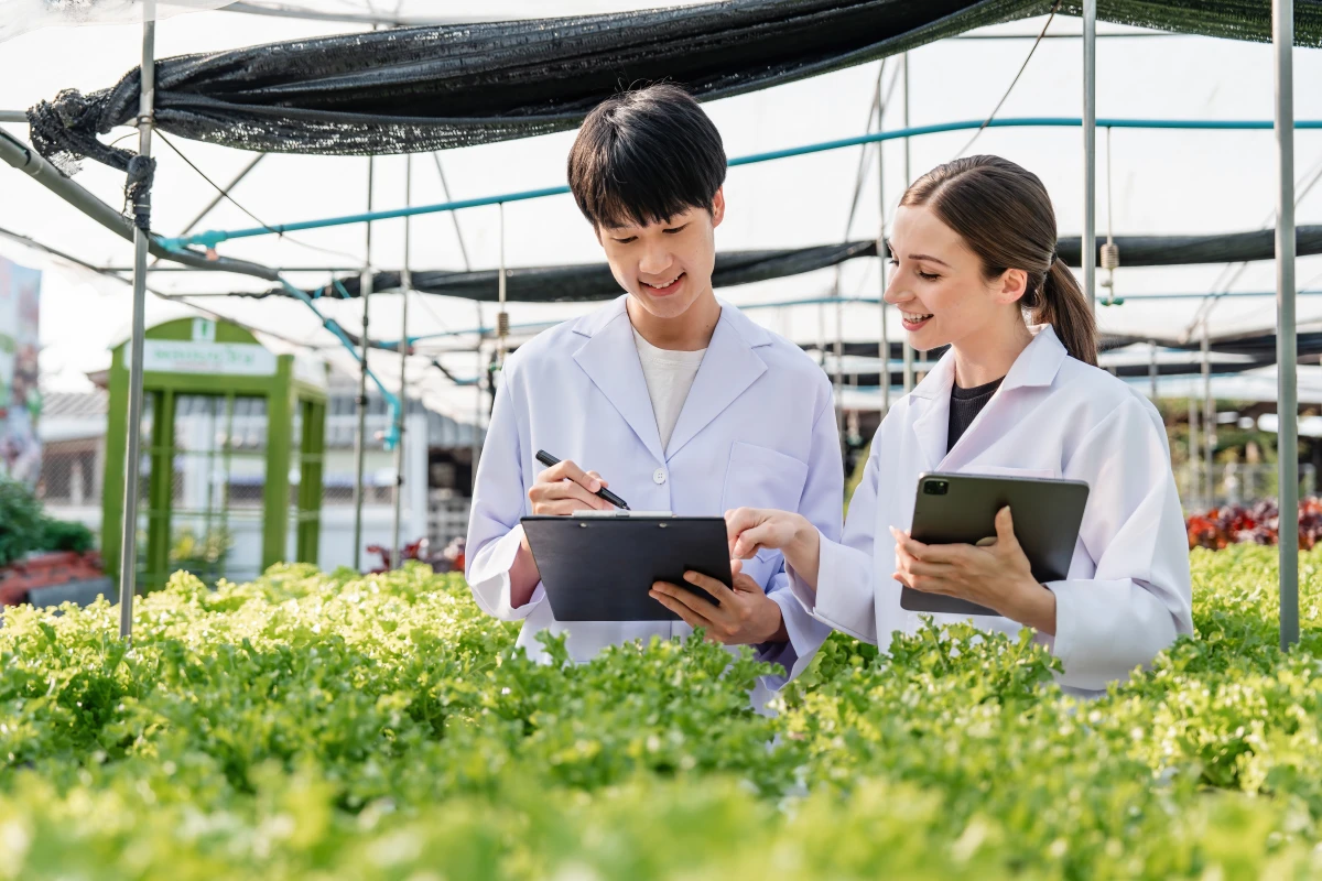 Propriété partagée : Les nouveaux modèles à l'ère de l'économie collaborative